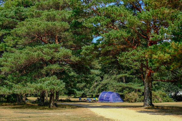 Roundhill Campsite