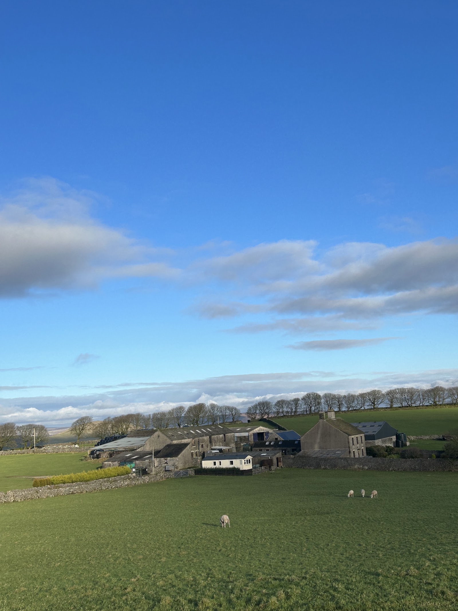 Rowter Farm Campsite