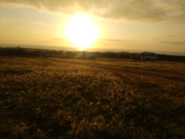 Ryn Gwari Farm Campsite