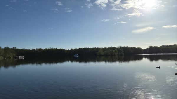 Salhouse Broad