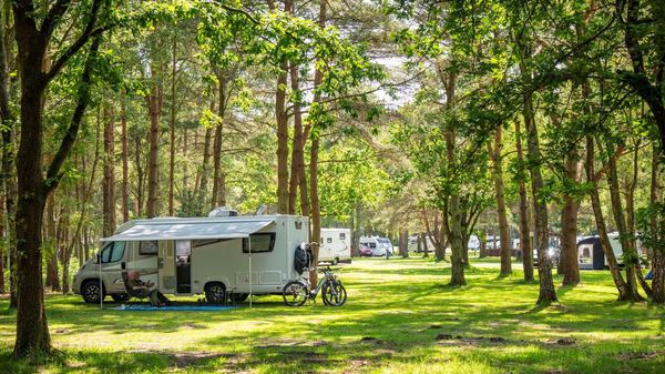 Sandringham Camping and Caravanning Club Site