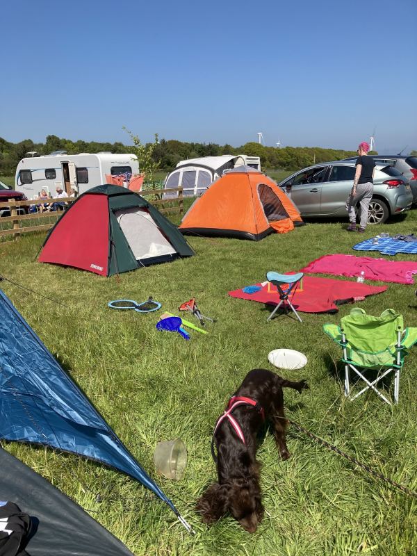 Seddons Caravan Park