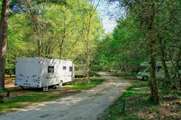 Setthorns Camping in The Forest Site