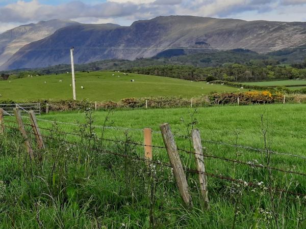 Seven Acres Caravan Park