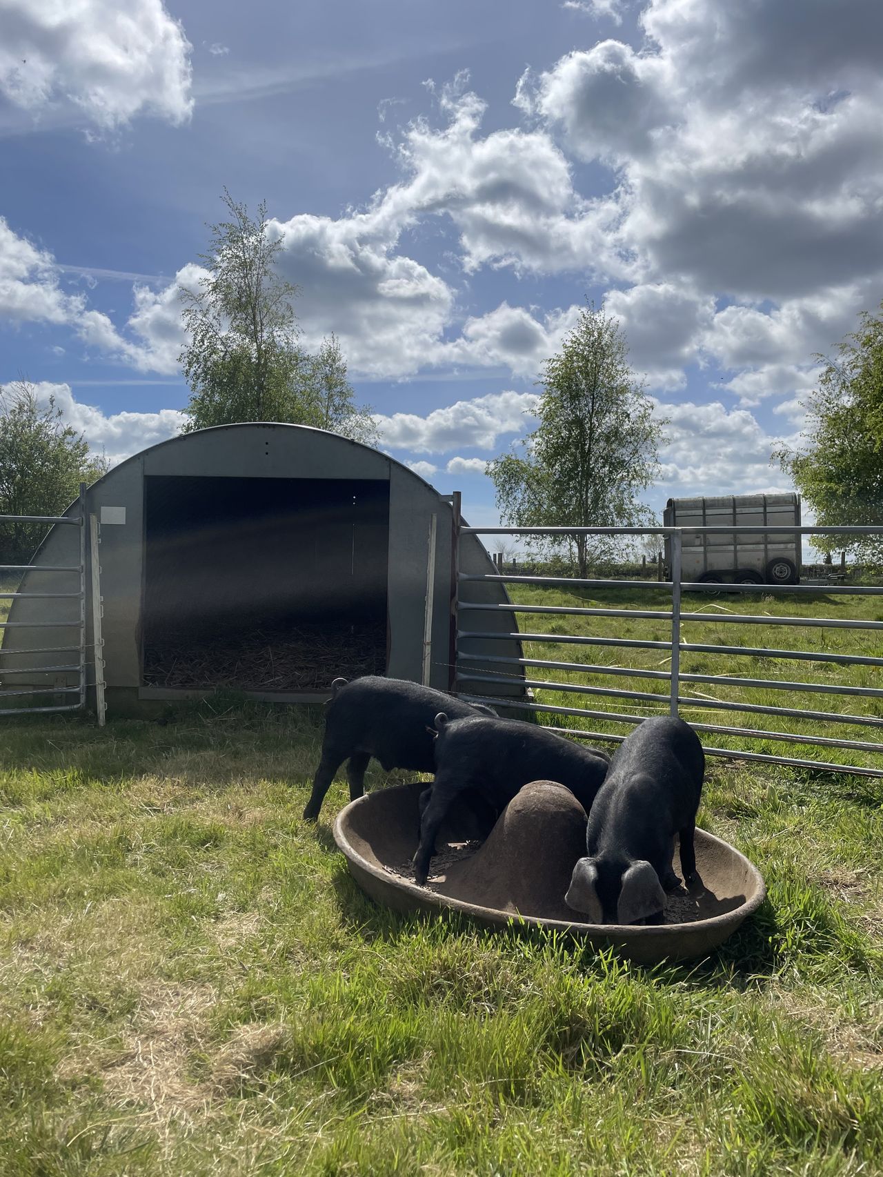 Shottisham Campsite