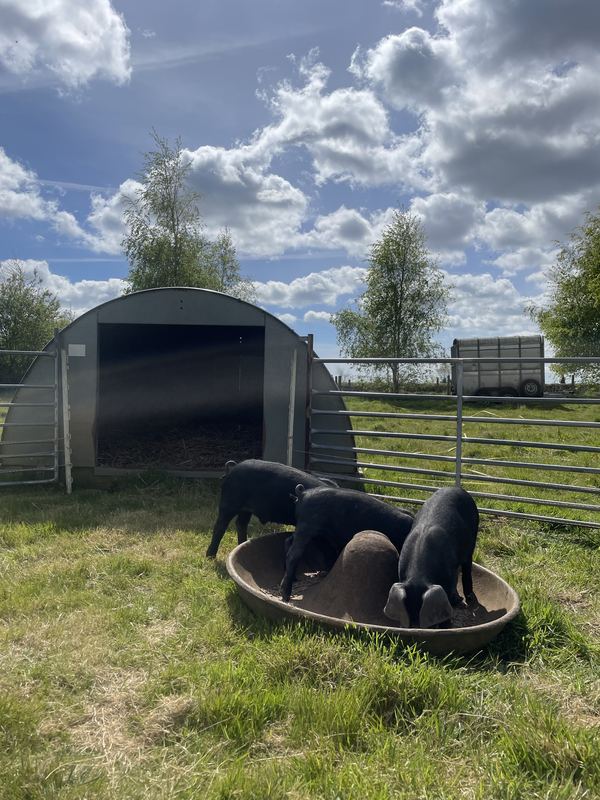 Shottisham Campsite