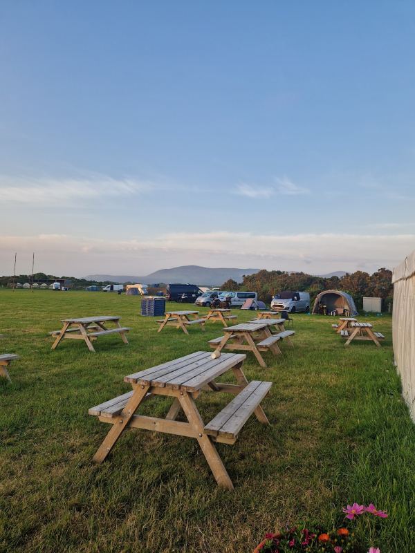 Silly Moos Campsite