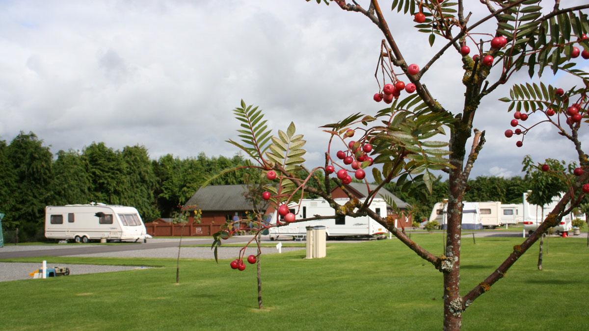 Silverbank Caravan Park