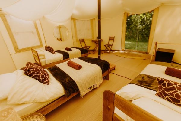 Silverstone Camping at Buzzard Holt Hosting