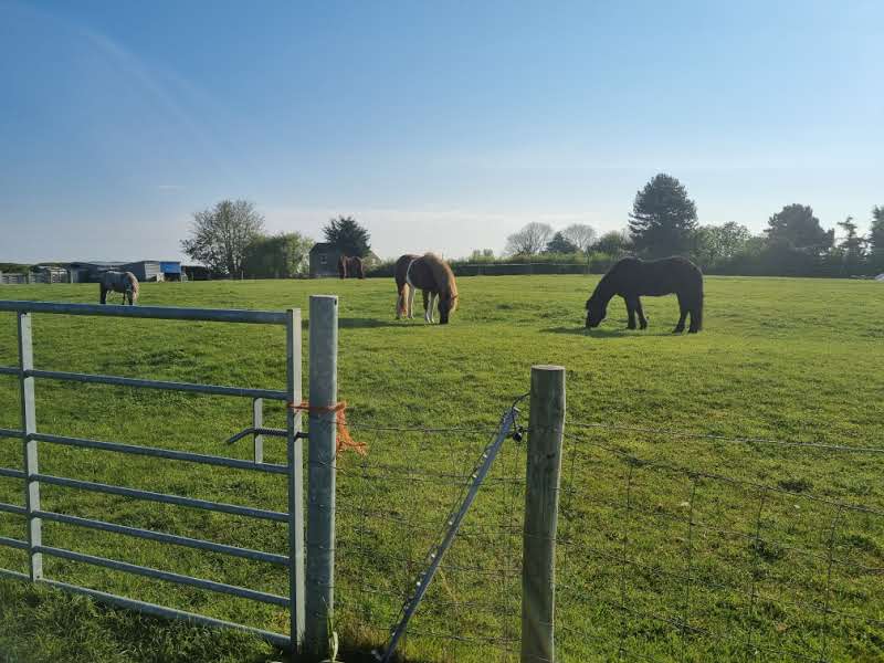 Simon Field Farm