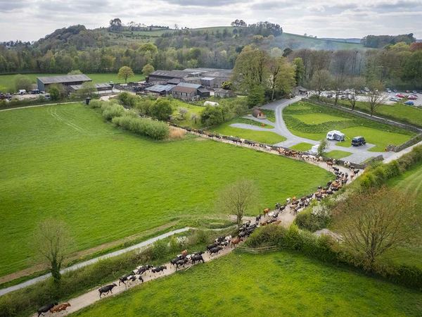 Sizergh Caravan and Camping