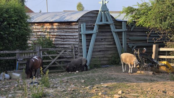 Skipbridge Farm Glamping
