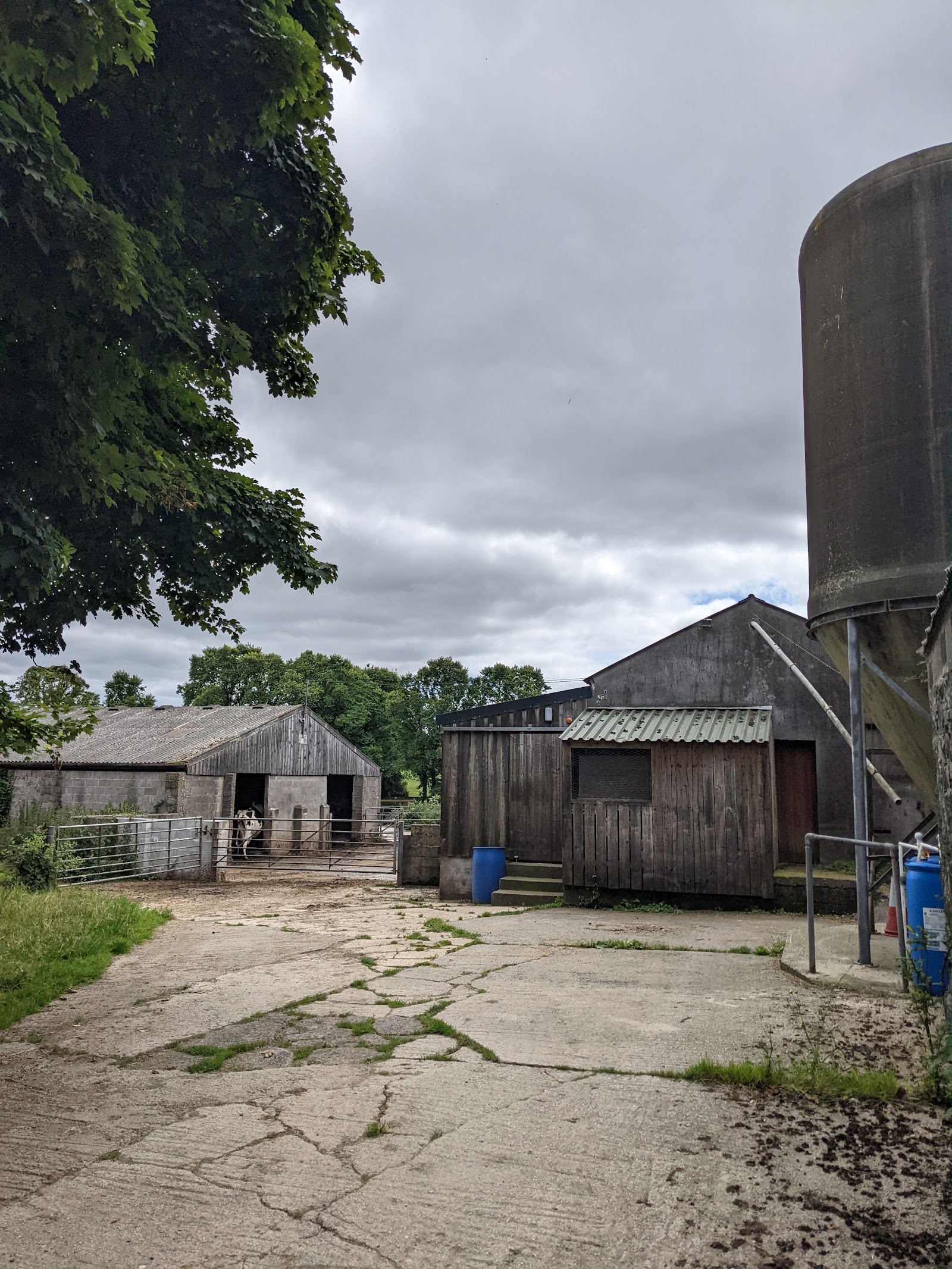 Skyburriowe Farm House