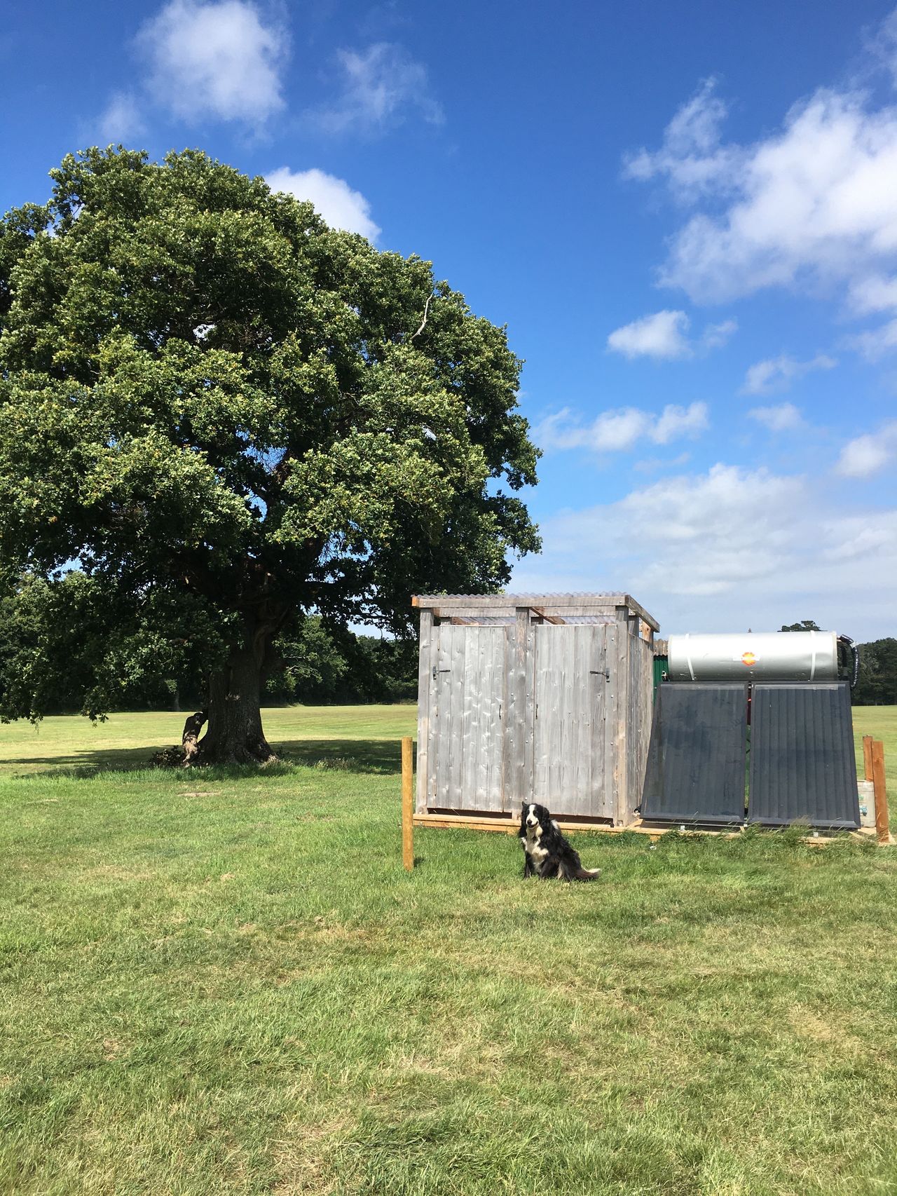 Snelling Farm Campsite