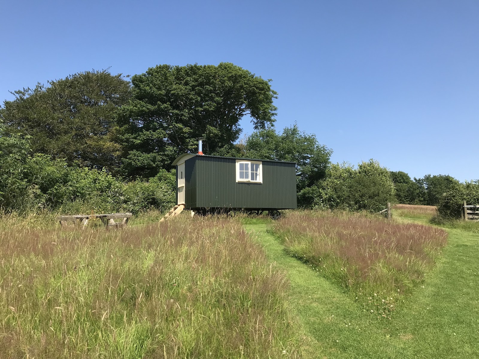 South Town Farm