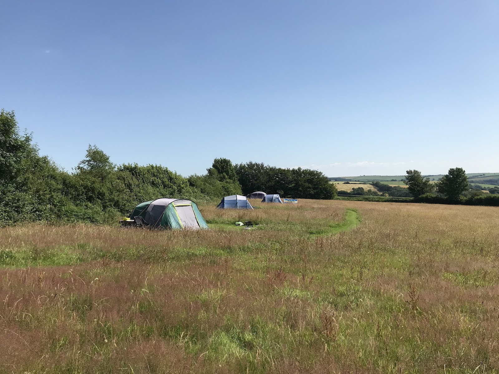 South Town Farm
