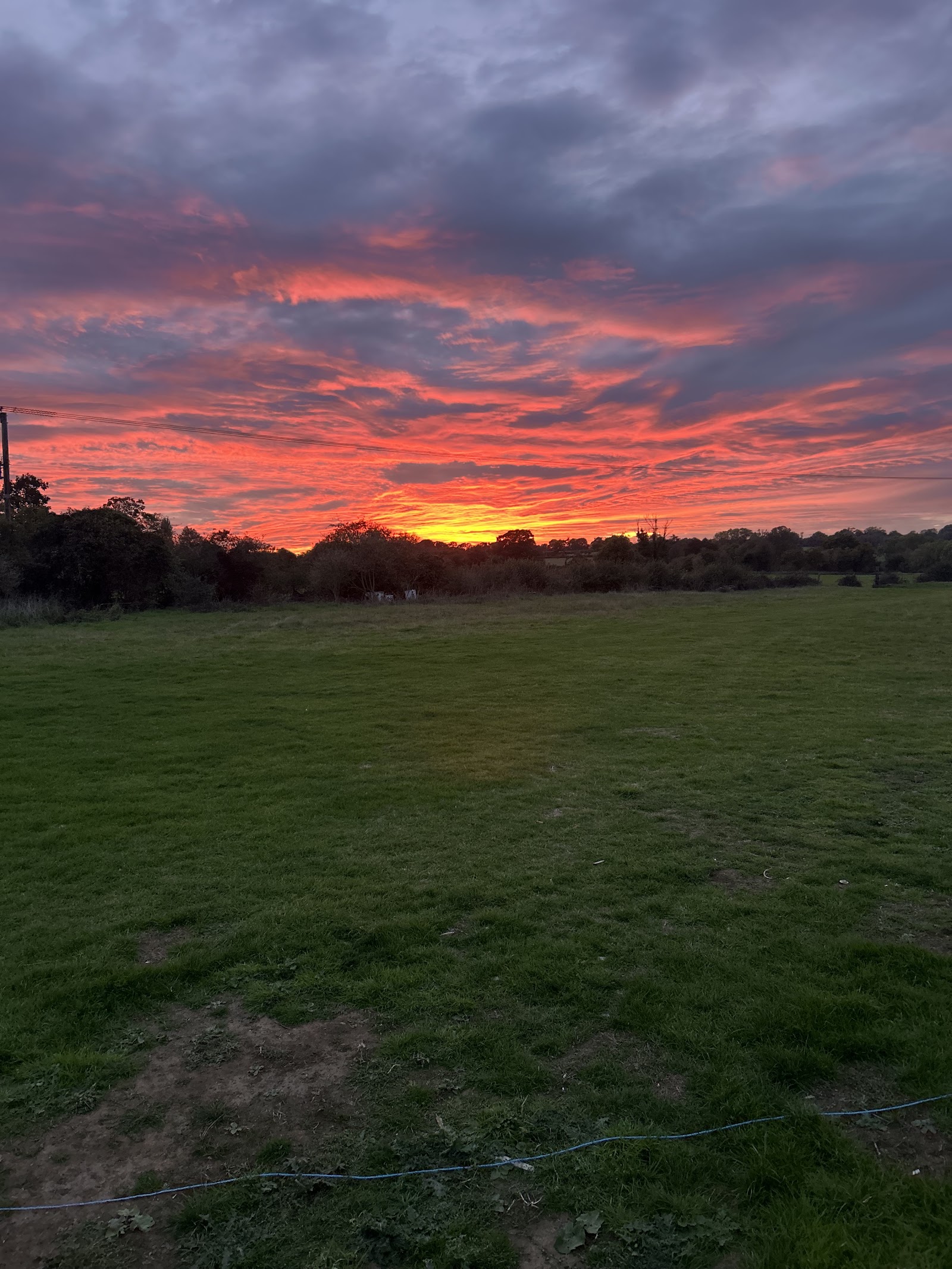 Southview Farm Meadow