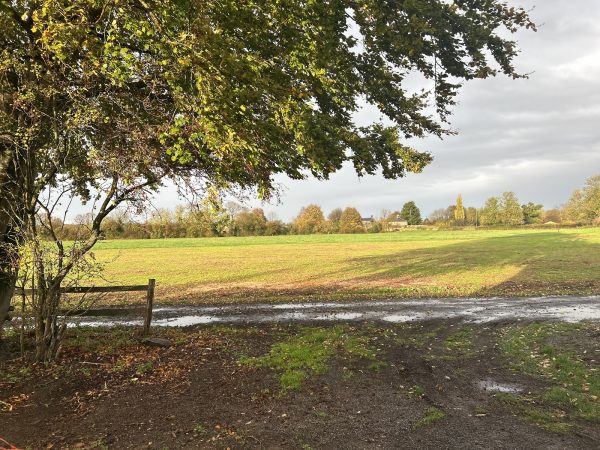 Southview Farm Meadow