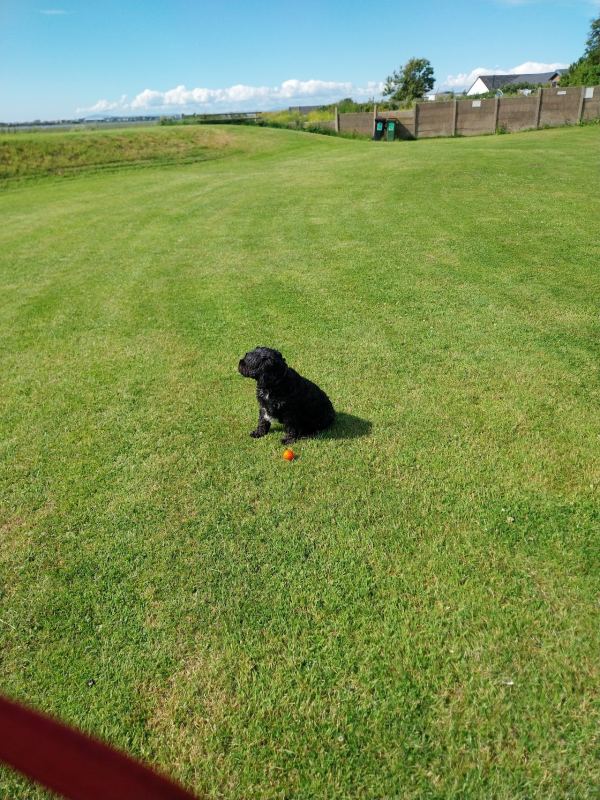 Sportsmans Caravan Park