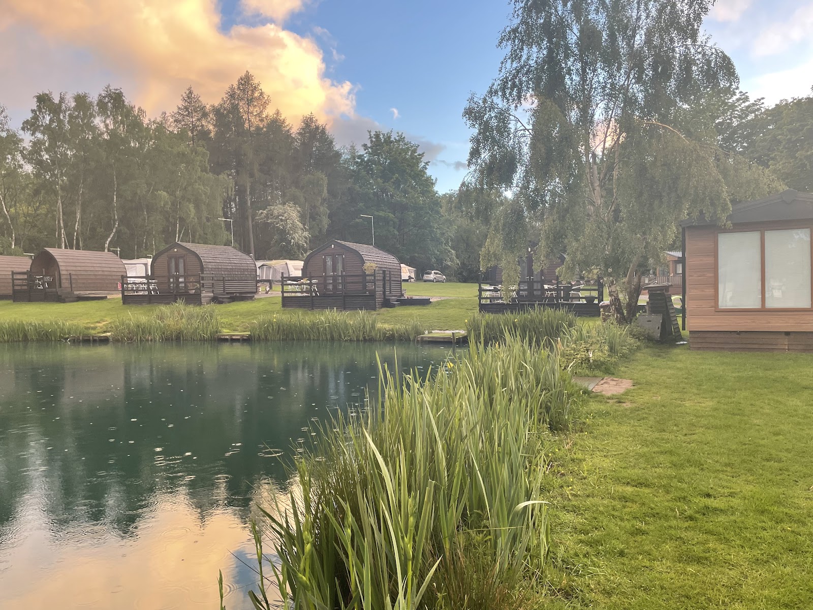 Springwood Fisheries