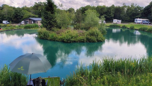 Springwood Fisheries