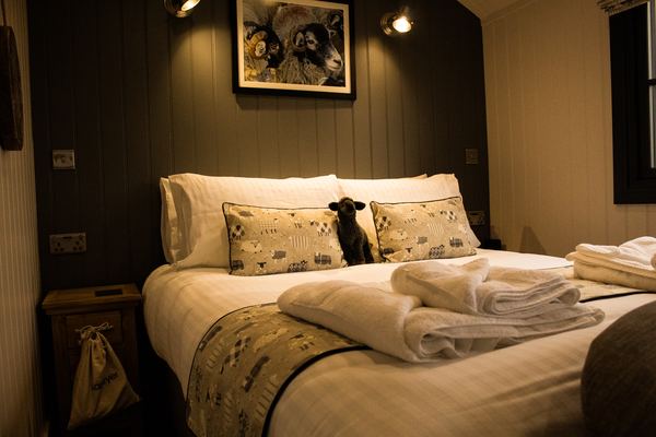Springwood Shepherd Huts Glamping York