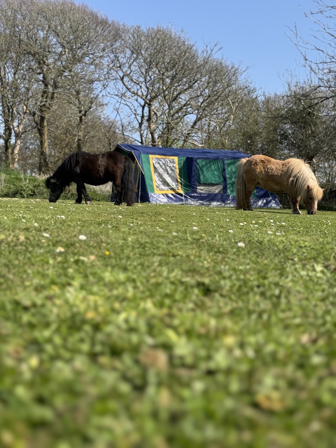 St Hilary Campsite