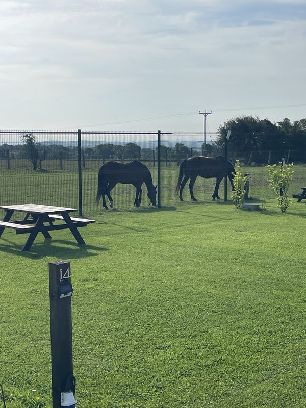 Stag Park Caravan Site