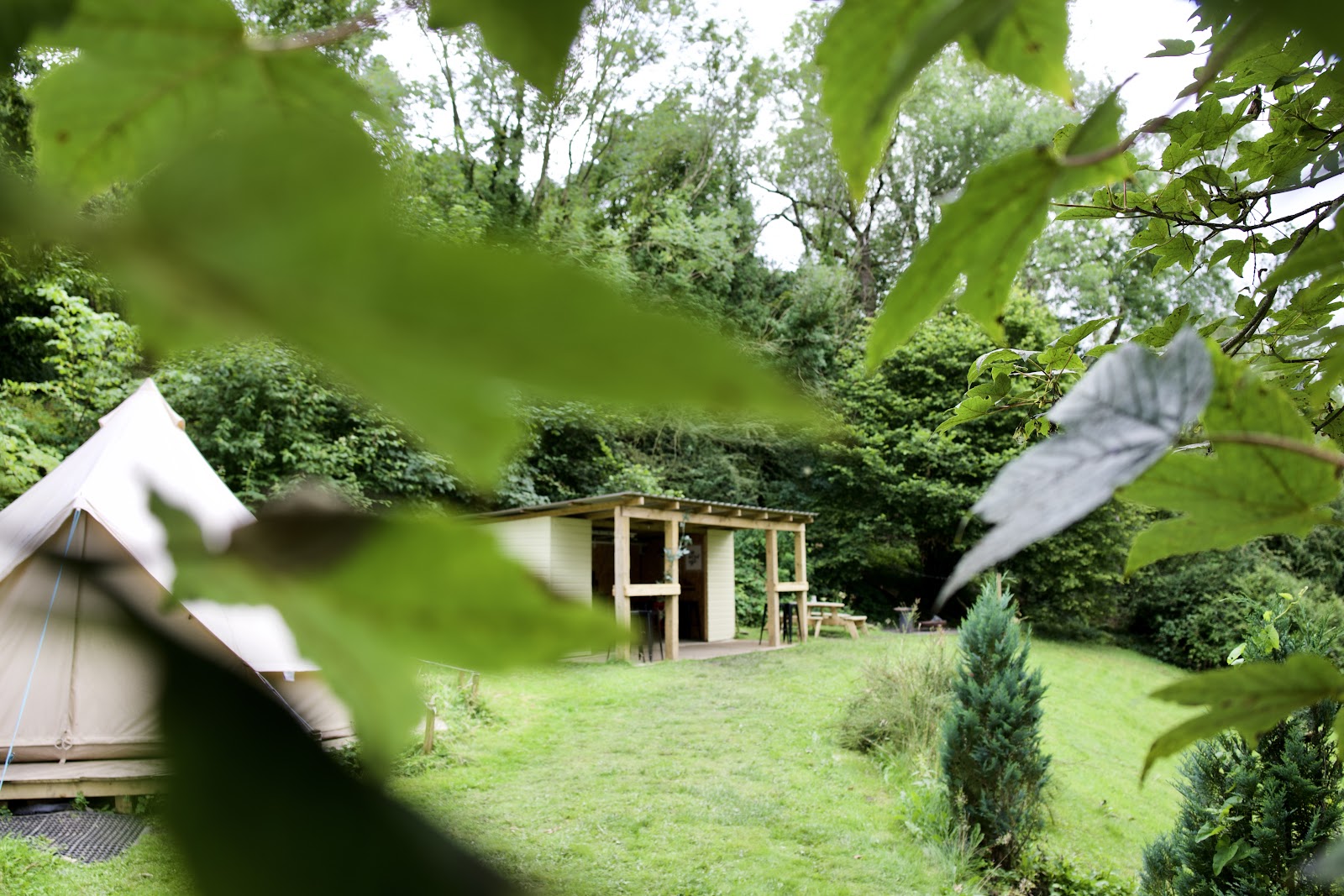 Stay Wild Retreats and Glamping