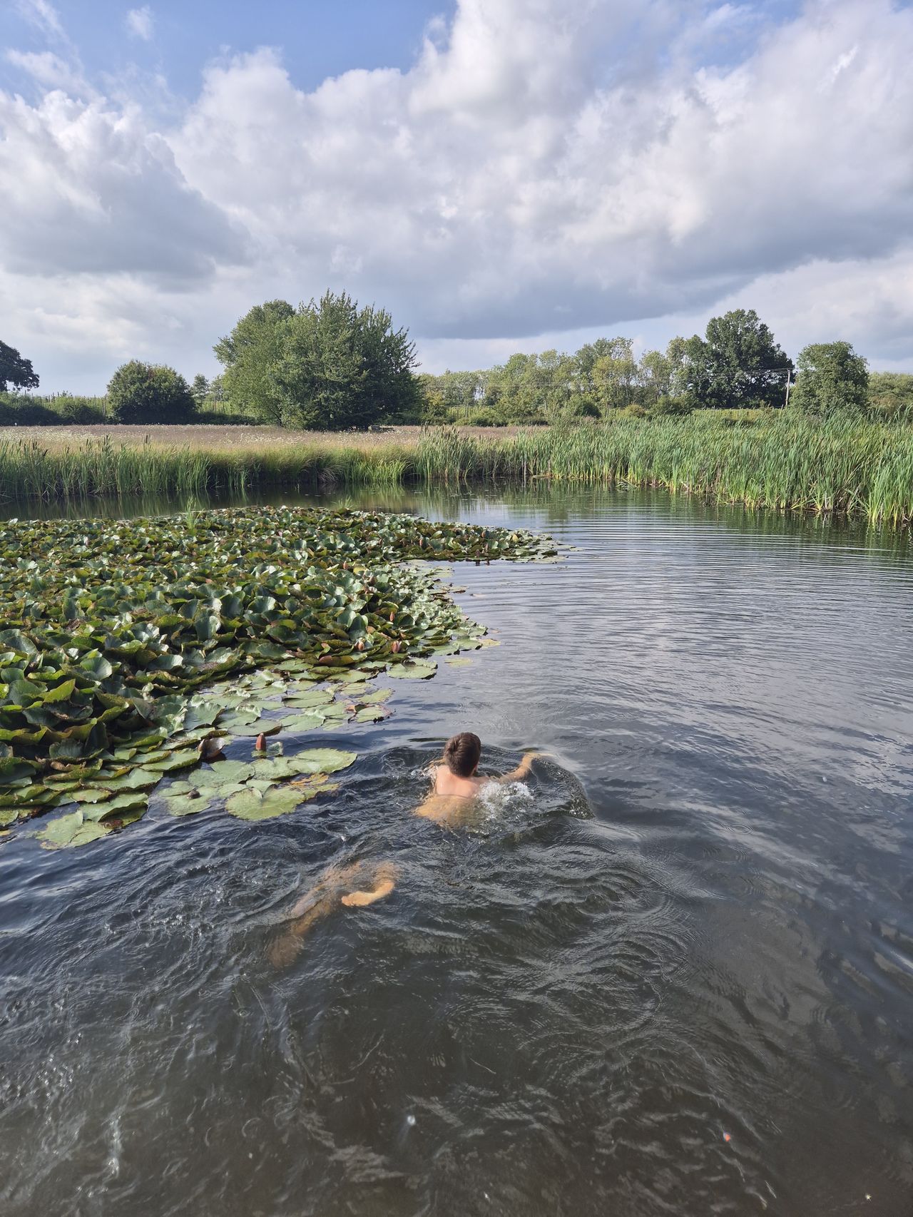 Stone Pit Meadows