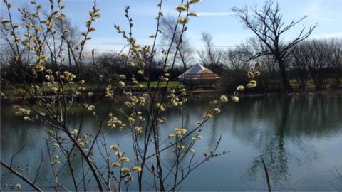 Stonebridge Fishing Lakes