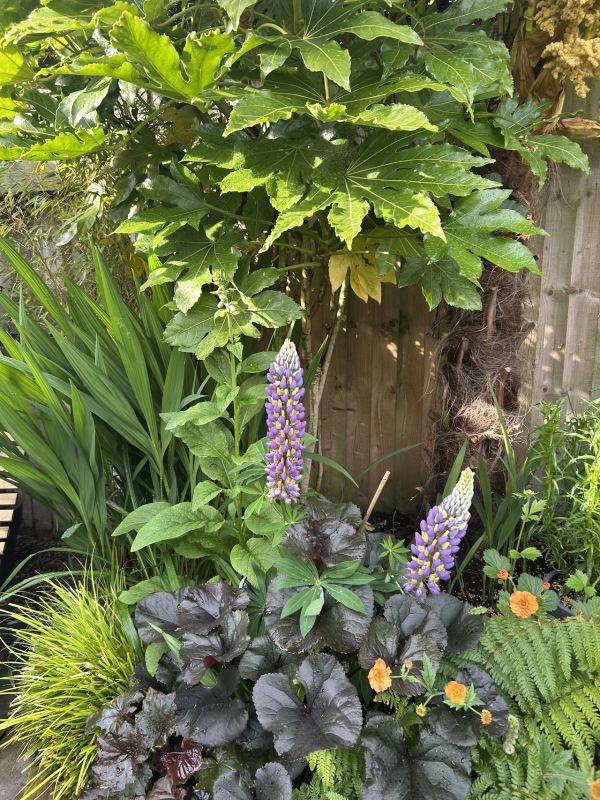 Stoney Leach Nurseries Certificated Location