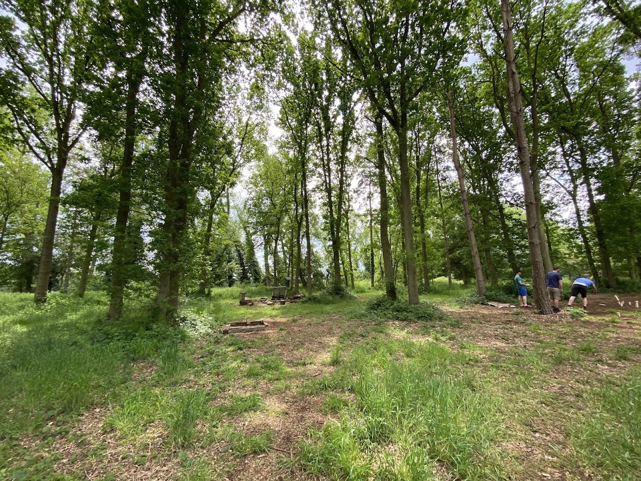 Stuarts Wood Camping