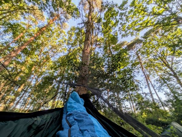 Stuarts Wood Camping