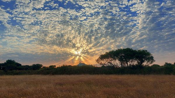 Sun Circle Meadows