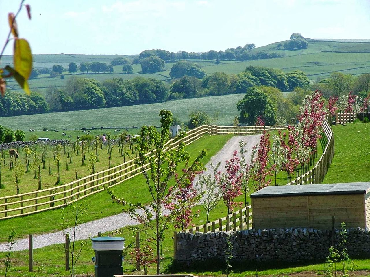 Sunnyfields Caravan Park