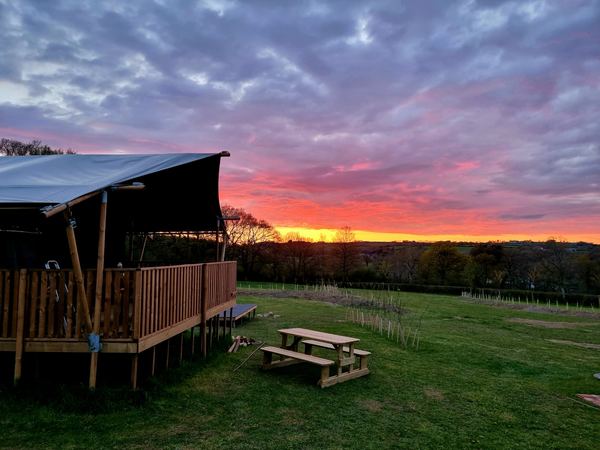 Sunsets and Marshmallows