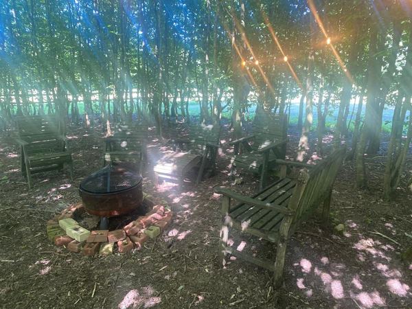 Sussex Topiary Campsite