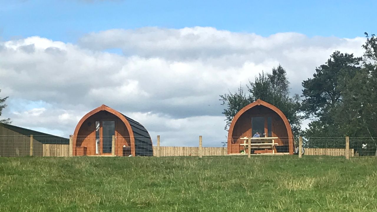 Sycamore Cottage and Glamping Pods