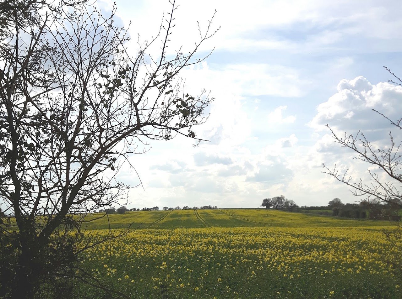Syerscote Meadow Camping and Caravan Site