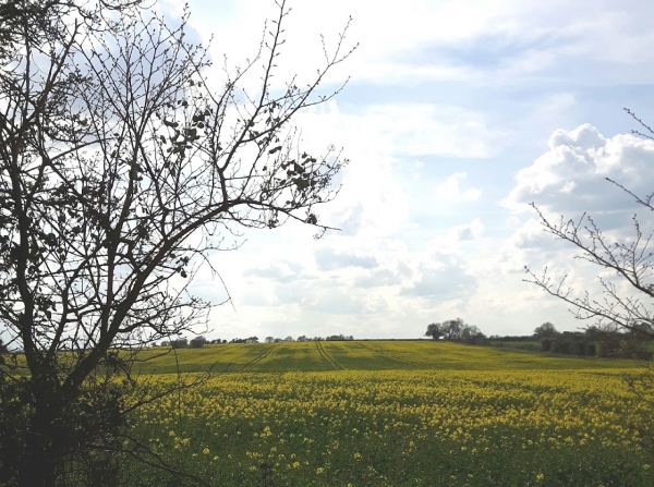 Syerscote Meadow Camping and Caravan Site