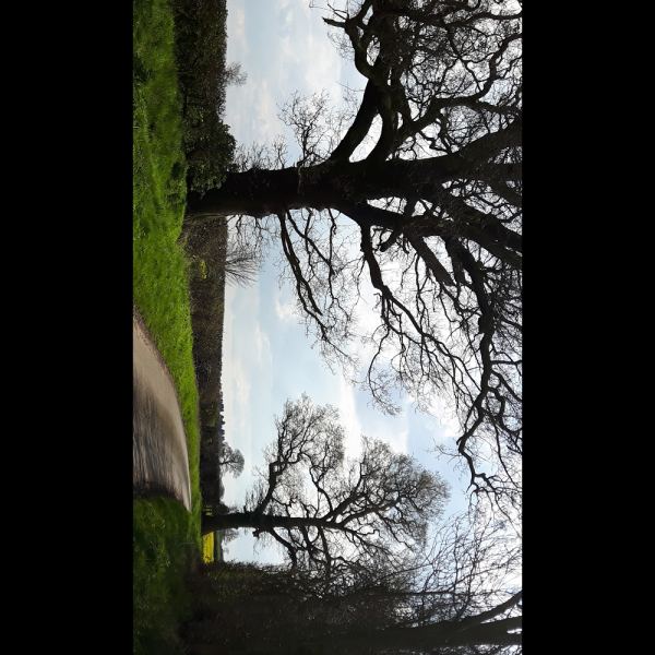 Syerscote Meadow Camping and Caravan Site