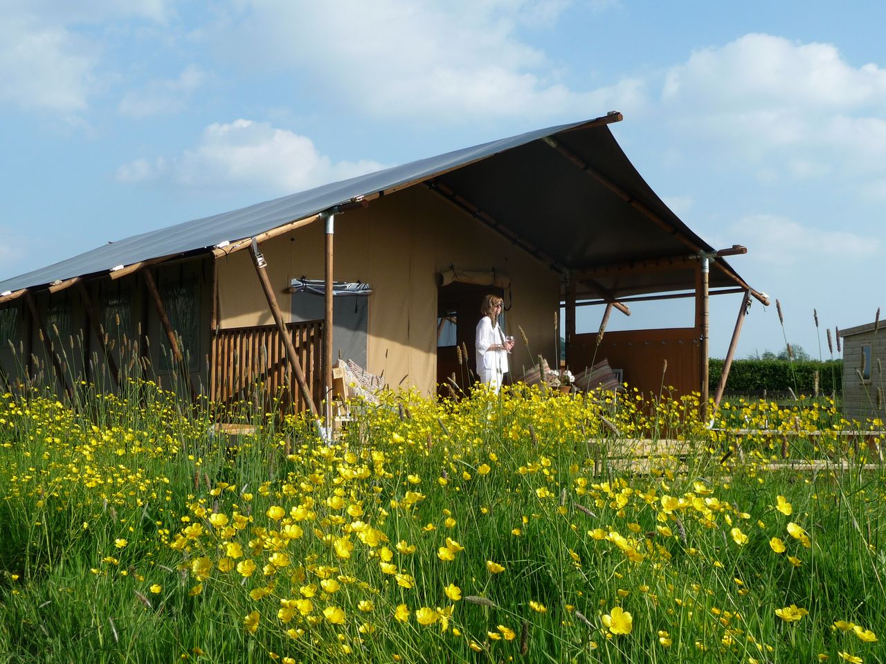 Tall Trees Glamping