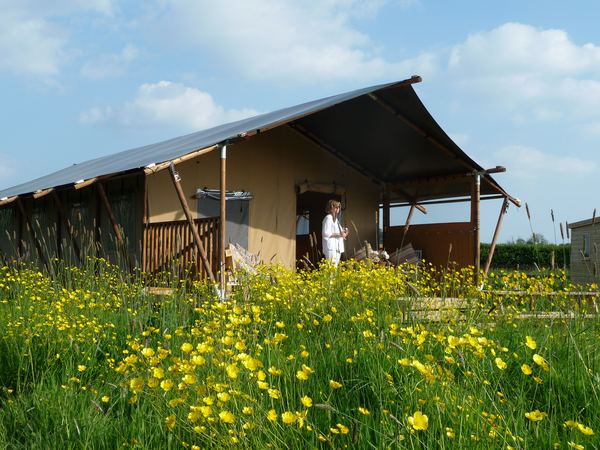 Tall Trees Glamping