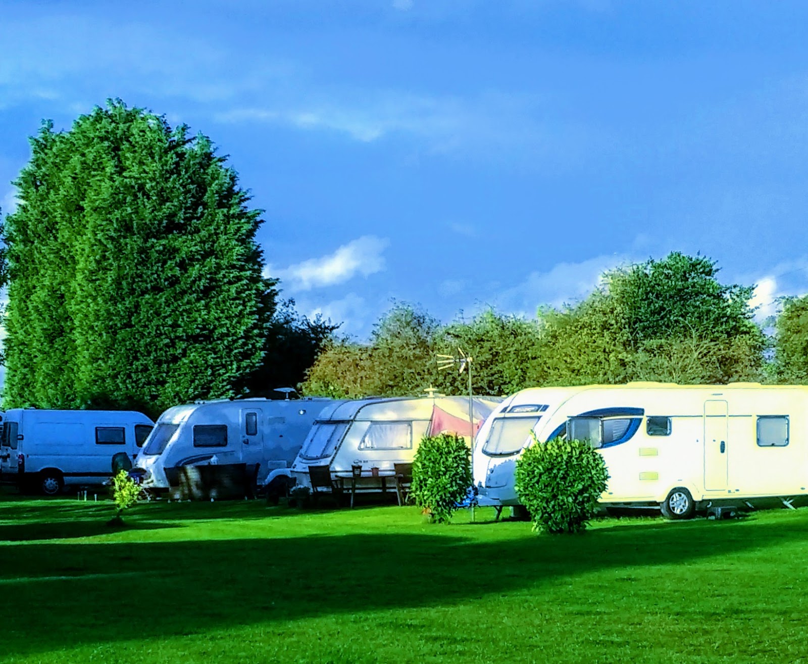 Tall Trees Touring Park