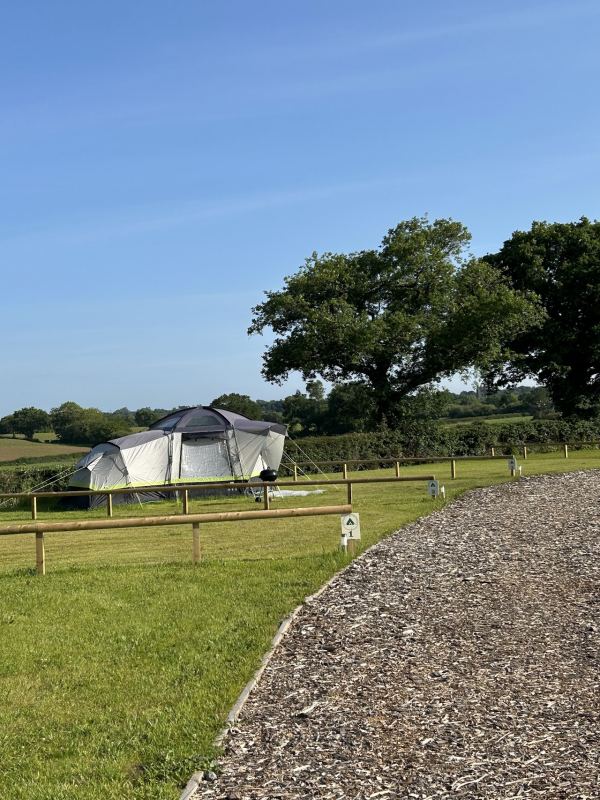 Talog Tents