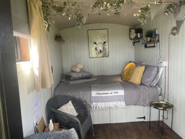 Tannenbaum Campsite