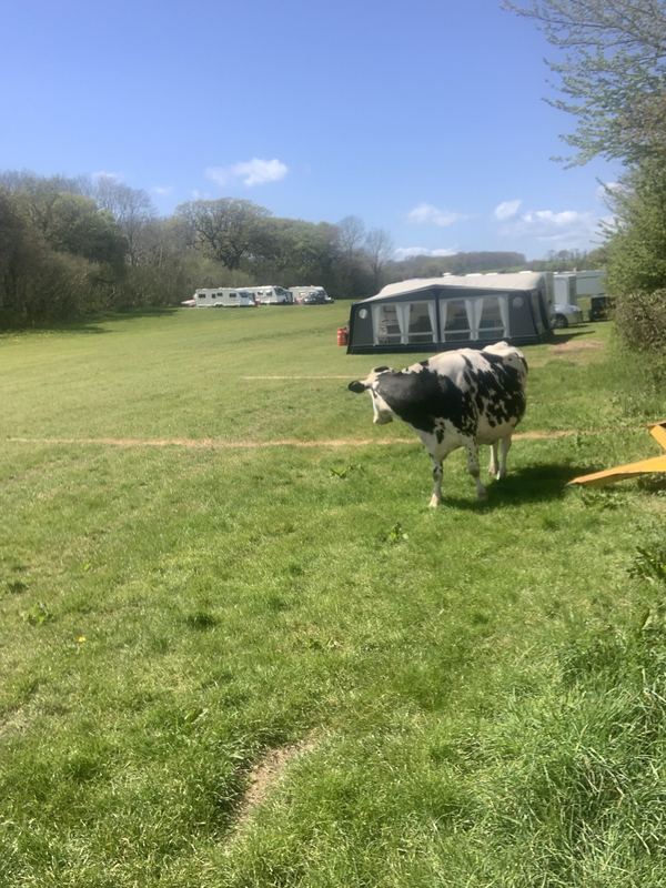 Tatton Farm Campsite