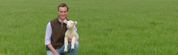Teddy's Farm
