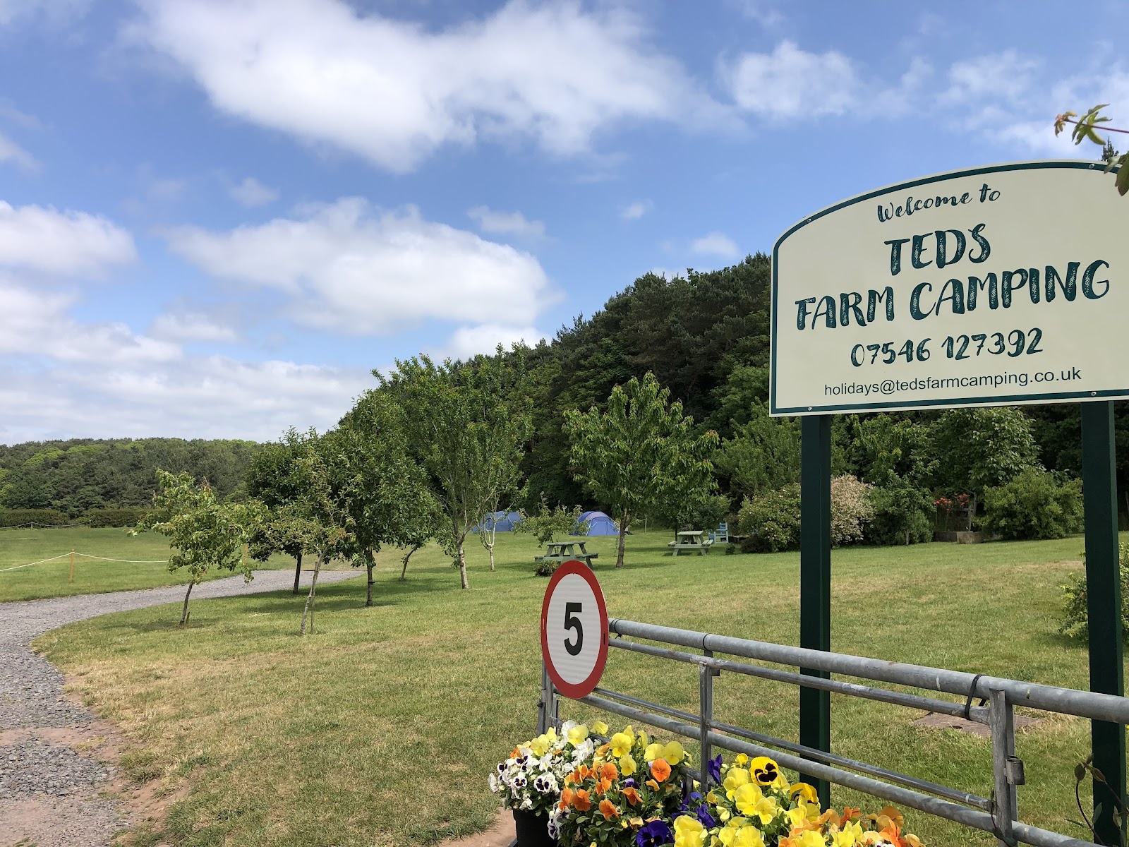 Teds Farm Camping